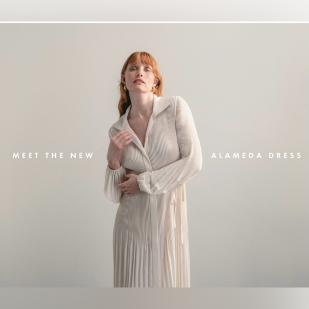 •DARLING SOCIETY• alameda dress